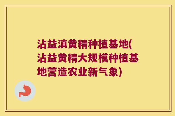 沾益滇黄精种植基地(沾益黄精大规模种植基地营造农业新气象)