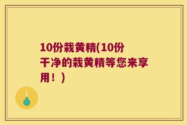 10份栽黄精(10份干净的栽黄精等您来享用!) 10份栽黄精(10份干净的栽黄精等您来享用!)