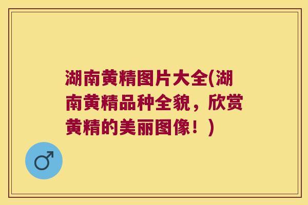 湖南黄精图片大全(湖南黄精品种全貌，欣赏黄精的美丽图像！)
