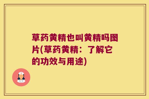草药黄精也叫黄精吗图片(草药黄精：了解它的功效与用途)
