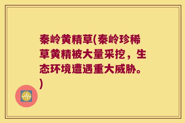 秦岭黄精草(秦岭珍稀草黄精被大量采挖，生态环境遭遇重大威胁。)