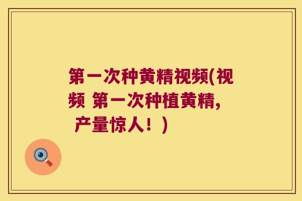第一次种黄精视频(视频 第一次种植黄精, 产量惊人!) 第一次种黄精视频(视频 第一次种植黄精, 产量惊人!)