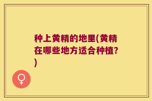 种上黄精的地里(黄精在哪些地方适合种植？)
