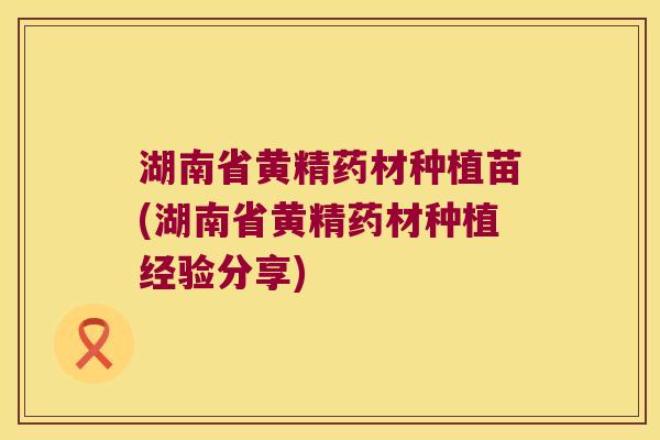 湖南省黄精药材种植苗(湖南省黄精药材种植经验分享)