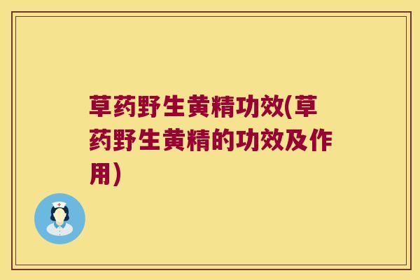 草药野生黄精功效(草药野生黄精的功效及作用)