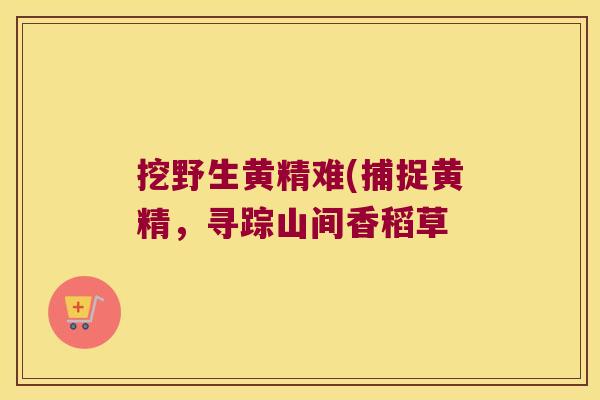 挖野生黄精难(捕捉黄精,寻踪山间香稻草 挖野生黄精难(捕捉黄精,寻踪山间香稻草