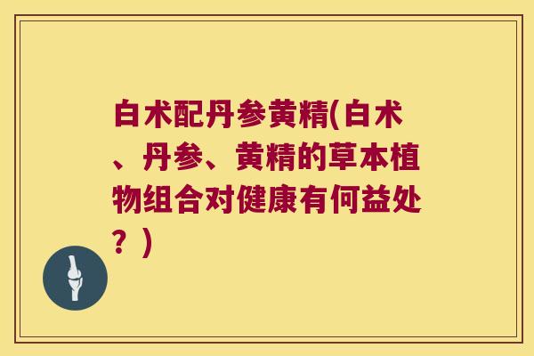 白术配丹参黄精(白术、丹参、黄精的草本植物组合对健康有何益处？)