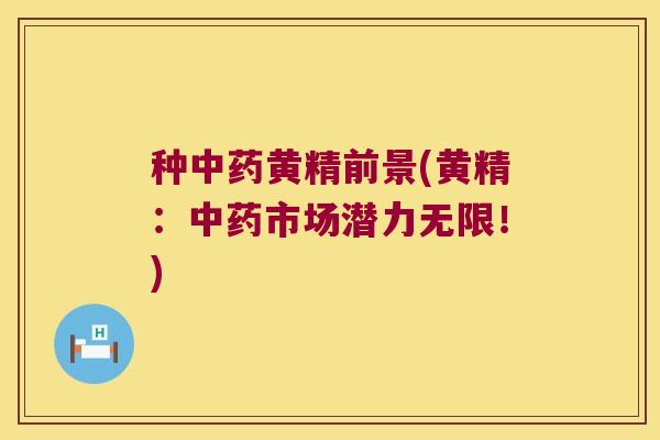 种黄精前景(黄精：市场潜力无限！)