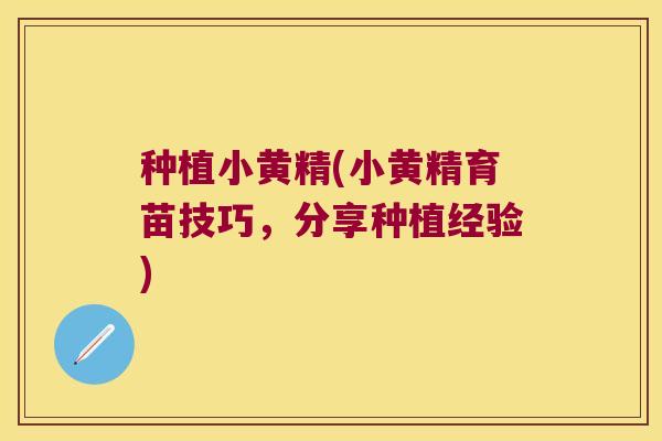 种植小黄精(小黄精育苗技巧，分享种植经验)