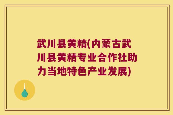 武川县黄精(内蒙古武川县黄精专业合作社助力当地特色产业发展)