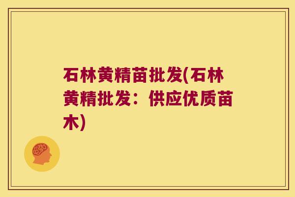石林黄精苗批发(石林黄精批发:供应优质苗木) 石林黄精苗批发(石林黄精批发:供应优质苗木)