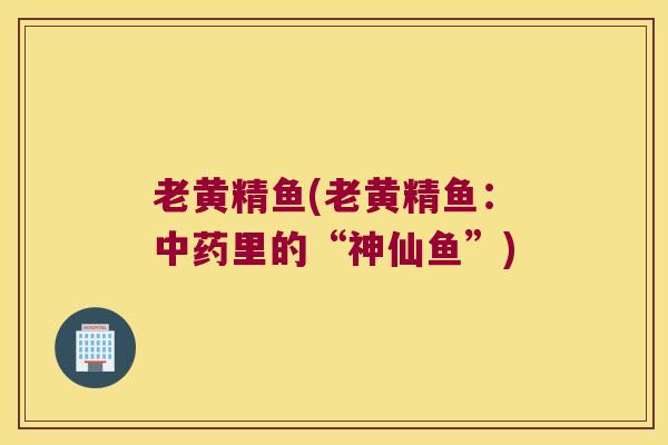 老黄精鱼(老黄精鱼：里的“神仙鱼”)