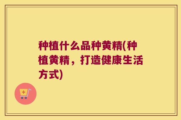 种植什么品种黄精(种植黄精,打造健康生活方式) 种植什么品种黄精(种植黄精,打造健康生活方式)