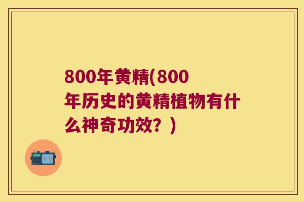 800年黄精(800年历史的黄精植物有什么神奇功效?) 800年黄精(800年历史的黄精植物有什么神奇功效?)
