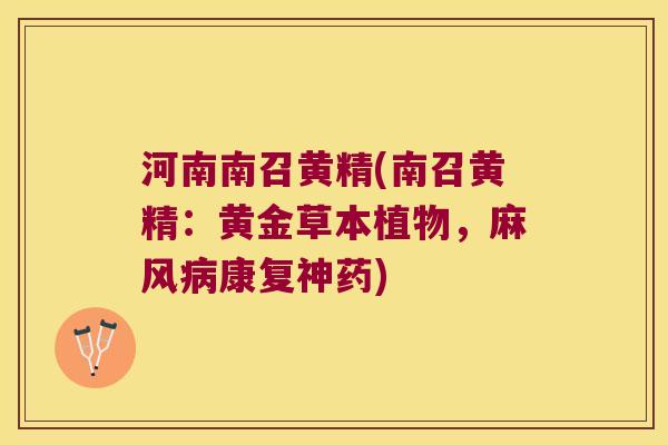 河南南召黄精(南召黄精:黄金草本植物,麻风康复神药) 河南南召黄精(南召黄精:黄金草本植物,麻风康复神药)