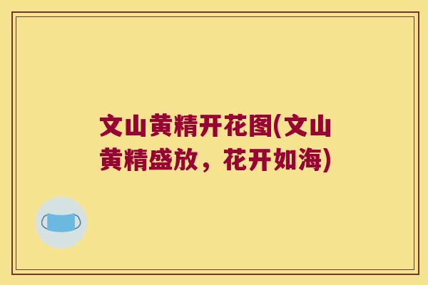 文山黄精开花图(文山黄精盛放,花开如海) 文山黄精开花图(文山黄精盛放,花开如海)