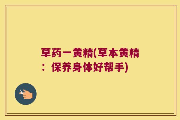 草药一黄精(草本黄精：保养身体好帮手)