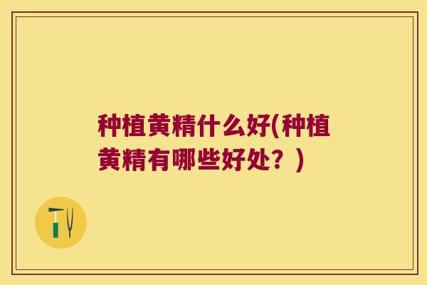 种植黄精什么好(种植黄精有哪些好处？)