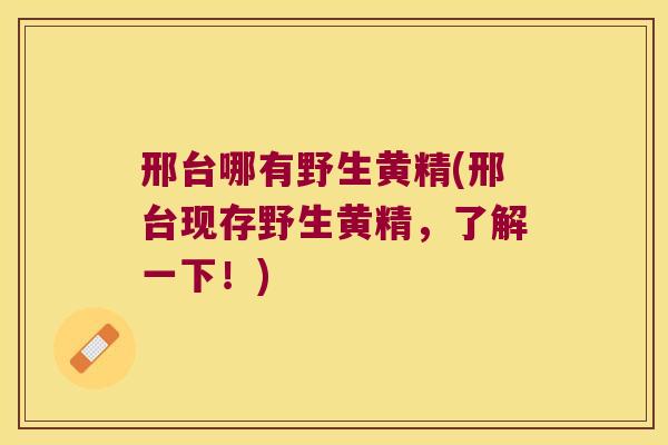 邢台哪有野生黄精(邢台现存野生黄精，了解一下！)