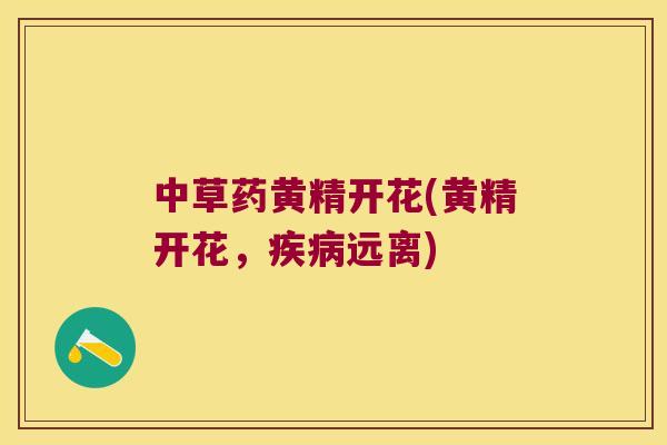 中草药黄精开花(黄精开花,远离) 中草药黄精开花(黄精开花,远离)