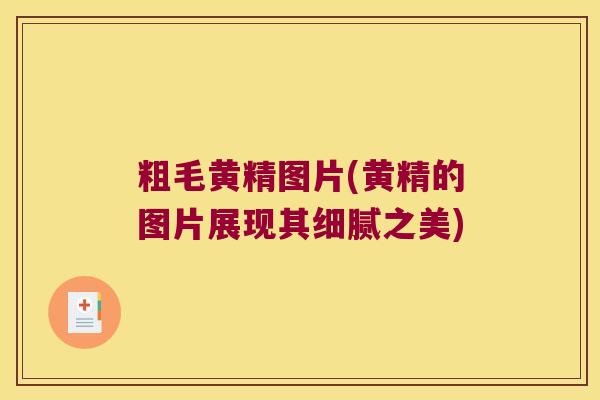 粗毛黄精图片(黄精的图片展现其细腻之美) 粗毛黄精图片(黄精的图片展现其细腻之美)
