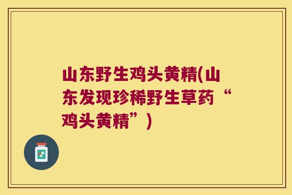 山东野生鸡头黄精(山东发现珍稀野生草药“鸡头黄精”)