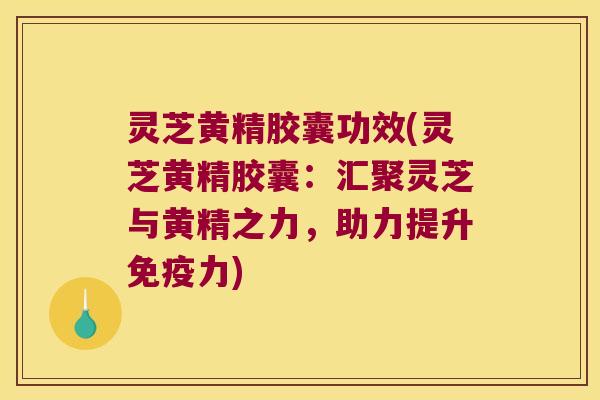 灵芝黄精胶囊功效(灵芝黄精胶囊：汇聚灵芝与黄精之力，助力提升力)