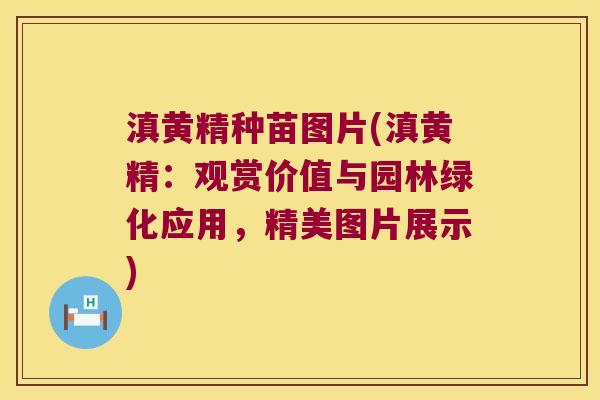 滇黄精种苗图片(滇黄精：观赏价值与园林绿化应用，精美图片展示)