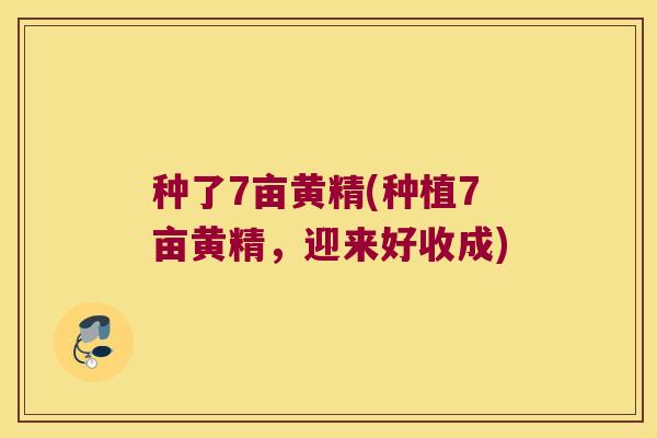 种了7亩黄精(种植7亩黄精，迎来好收成)