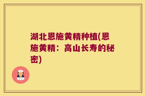 湖北恩施黄精种植(恩施黄精：高山长寿的秘密)