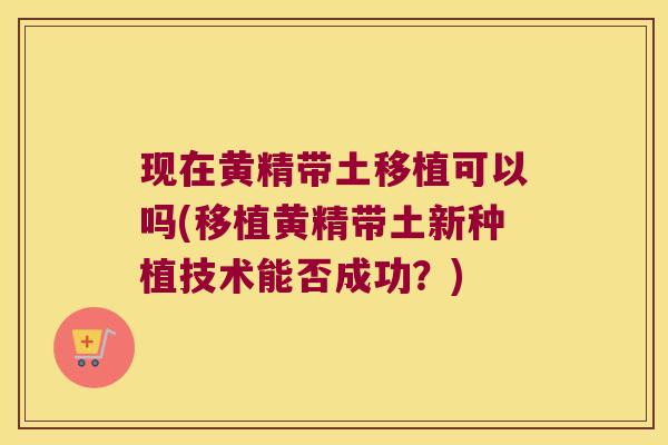 现在黄精带土移植可以吗(移植黄精带土新种植技术能否成功？)