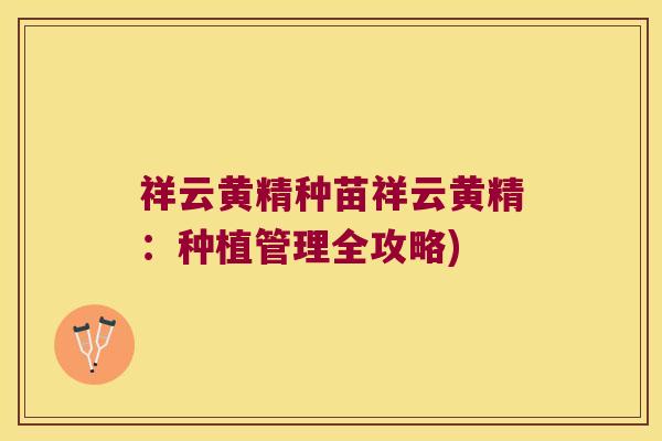 祥云黄精种苗祥云黄精：种植管理全攻略)
