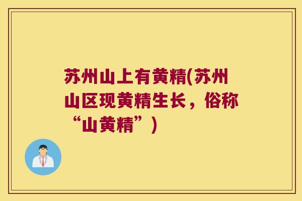 苏州山上有黄精(苏州山区现黄精生长,俗称“山黄精”) 苏州山上有黄精(苏州山区现黄精生长,俗称“山黄精”)