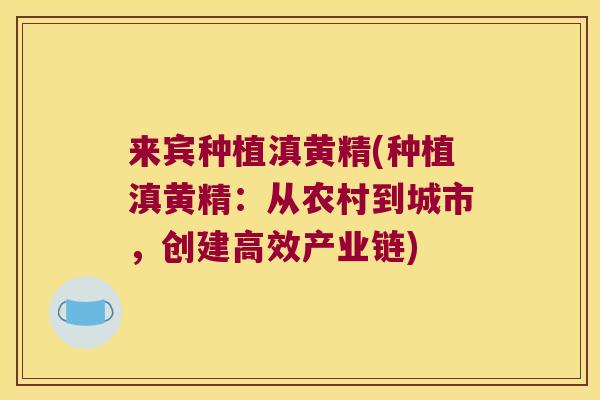 来宾种植滇黄精(种植滇黄精：从农村到城市，创建高效产业链)