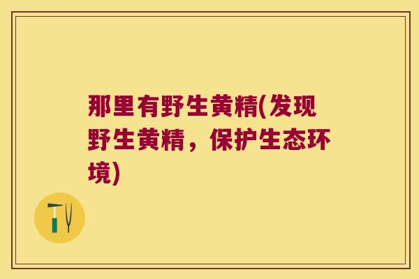 那里有野生黄精(发现野生黄精，保护生态环境)