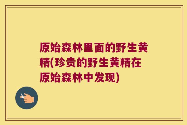 原始森林里面的野生黄精(珍贵的野生黄精在原始森林中发现)