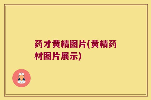 药才黄精图片(黄精药材图片展示) 药才黄精图片(黄精药材图片展示)