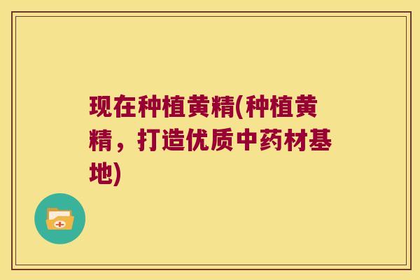 现在种植黄精(种植黄精,打造优质材基地) 现在种植黄精(种植黄精,打造优质材基地)