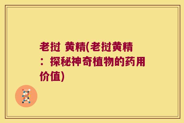 老挝 黄精(老挝黄精:探秘神奇植物的药用价值) 老挝 黄精(老挝黄精:探秘神奇植物的药用价值)
