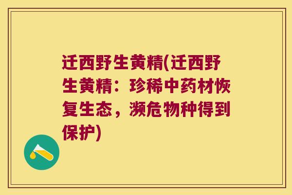 迁西野生黄精(迁西野生黄精:珍稀材恢复生态,濒危物种得到保护) 迁西野生黄精(迁西野生黄精:珍稀材恢复生态,濒危物种得到保护)