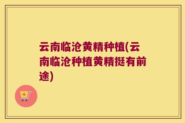 云南临沧黄精种植(云南临沧种植黄精挺有前途) 云南临沧黄精种植(云南临沧种植黄精挺有前途)