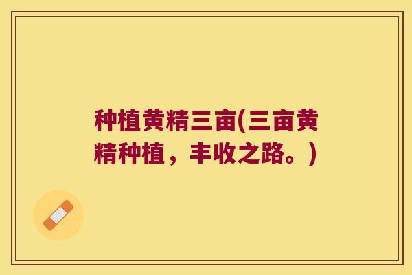 种植黄精三亩(三亩黄精种植，丰收之路。)
