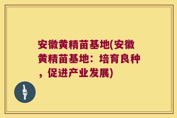 安徽黄精苗基地(安徽黄精苗基地：培育良种，促进产业发展)
