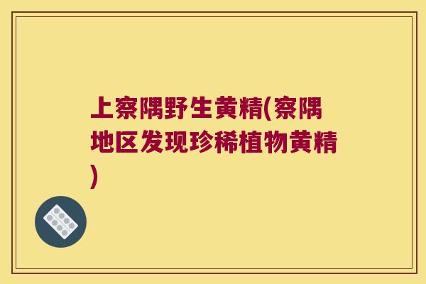 上察隅野生黄精(察隅地区发现珍稀植物黄精) 上察隅野生黄精(察隅地区发现珍稀植物黄精)