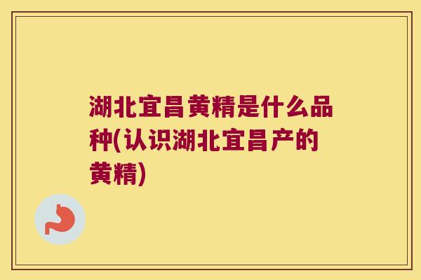 湖北宜昌黄精是什么品种(认识湖北宜昌产的黄精) 湖北宜昌黄精是什么品种(认识湖北宜昌产的黄精)