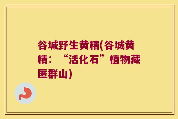 谷城野生黄精(谷城黄精:“活化石”植物藏匿群山) 谷城野生黄精(谷城黄精:“活化石”植物藏匿群山)