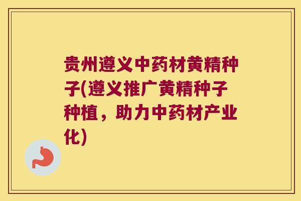 贵州遵义材黄精种子(遵义推广黄精种子种植,助力材产业化) 贵州遵义材黄精种子(遵义推广黄精种子种植,助力材产业化)