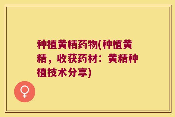 种植黄精(种植黄精,收获药材:黄精种植技术分享) 种植黄精(种植黄精,收获药材:黄精种植技术分享)