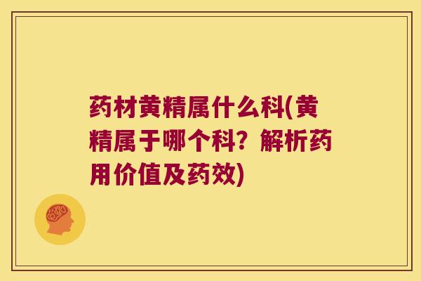 药材黄精属什么科(黄精属于哪个科?解析药用价值及) 药材黄精属什么科(黄精属于哪个科?解析药用价值及)