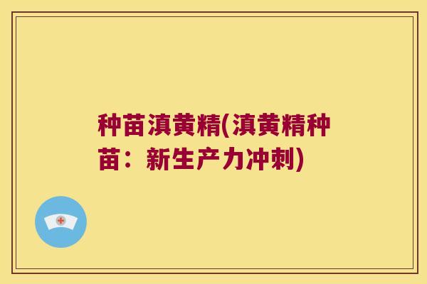 种苗滇黄精(滇黄精种苗:新生产力冲刺) 种苗滇黄精(滇黄精种苗:新生产力冲刺)
